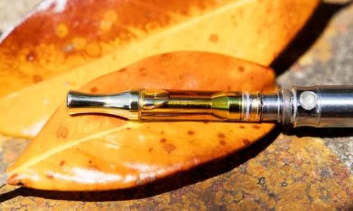 Innovative THCA Vape Pens: A Fresh Perspective on Cannabinoid Consumption