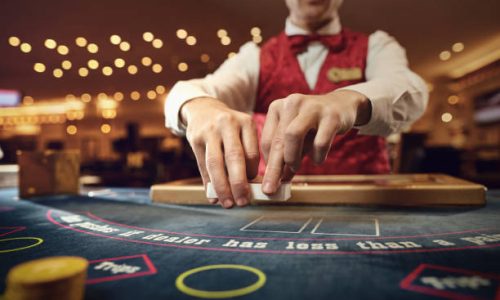 Why Winbuzz is the Best Platform for Online Casino Enthusiasts