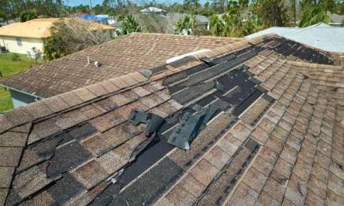 Top Signs It’s Time for a Roof Replacement in Bainbridge