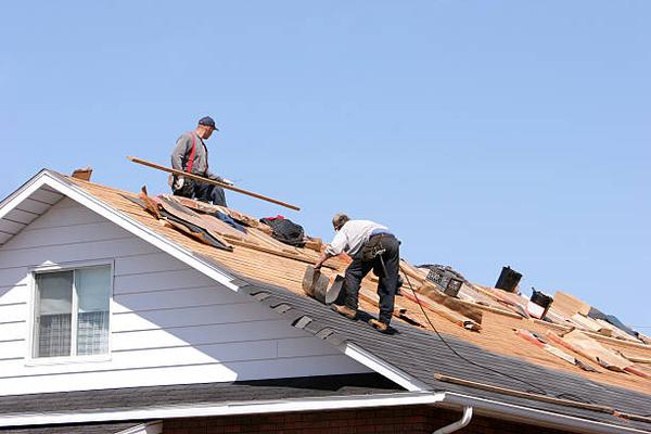 Why Professional Roof Repair Is Essential for Your Home