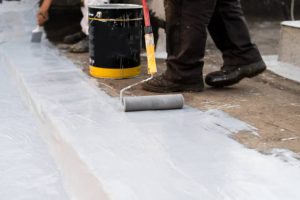 Platinum Concrete Coatings – ProPaint Systems Excellence in Every Layer