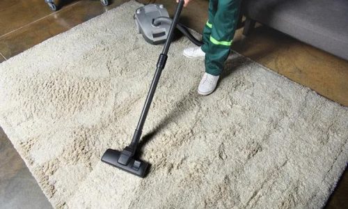 Affordable Carpet Cleaning Tacoma: Quality You Can Trust