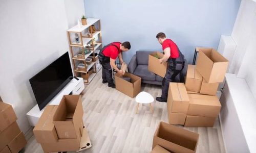 Smooth and Stress-Free Relocations with Toronto Moving Services