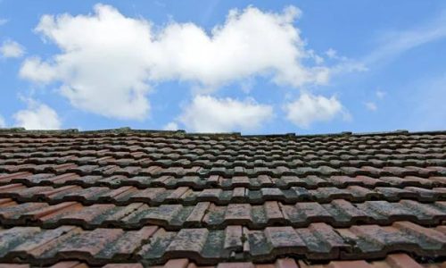 Transform Your Home with Greenville’s Leading Roofing Installers