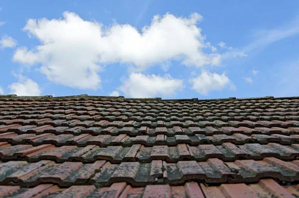 Transform Your Home with Greenville’s Leading Roofing Installers