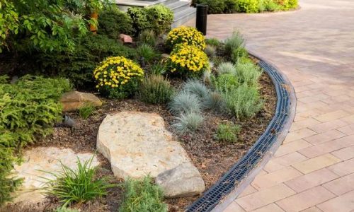 Expert Hardscaping Solutions for Homes in Burlingame