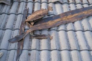 Questions to Ask Before Starting a Roof Replacement