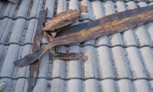 Questions to Ask Before Starting a Roof Replacement