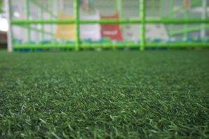 Scottsdale Artificial Grass: A Hassle-Free Lawn Solution