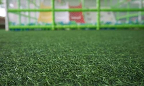 Scottsdale Artificial Grass: A Hassle-Free Lawn Solution