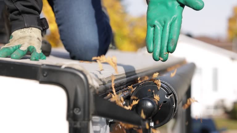 Professional Commercial Gutter Cleaning in Melbourne Made Easy